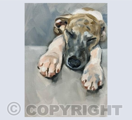 Puppy paws