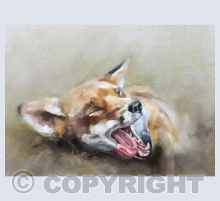 The yawn