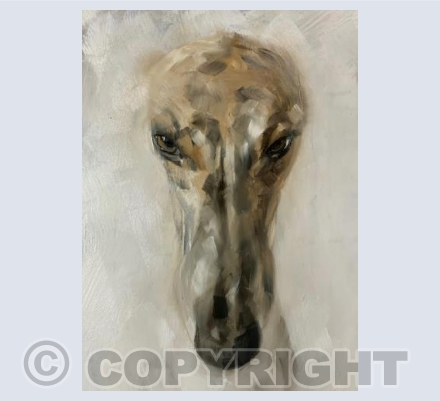 Where’s my cuddle?