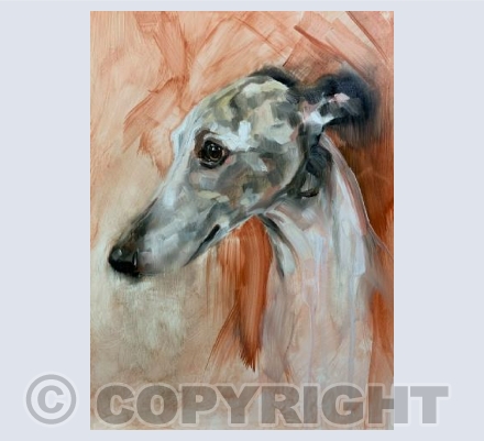Whippet worries 
