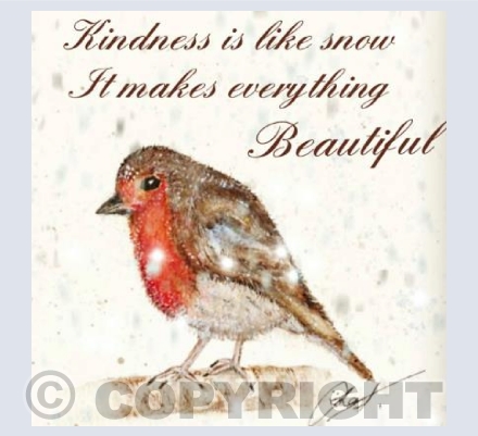 Kindness Robin 