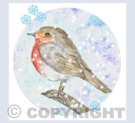 Snow Robin 