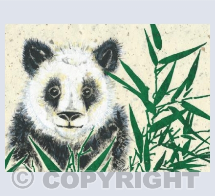 panda