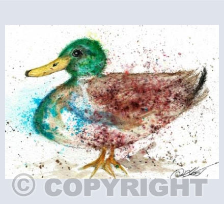 duck