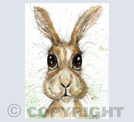 summer hare