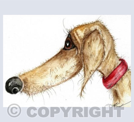 peanut the dog 