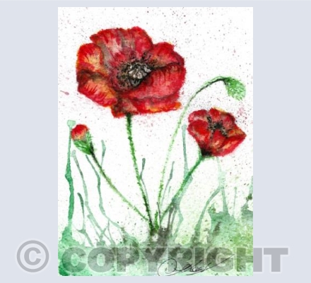 poppy
