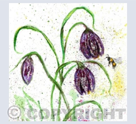 Fritillaria flower & bee