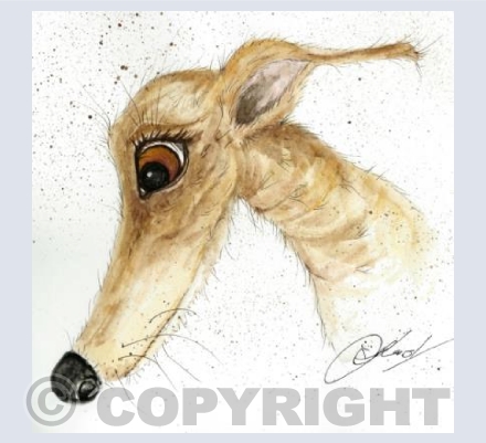 Sandy greyhound