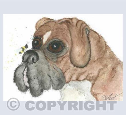Boxer Dog & bee