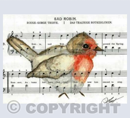 Sad Robin