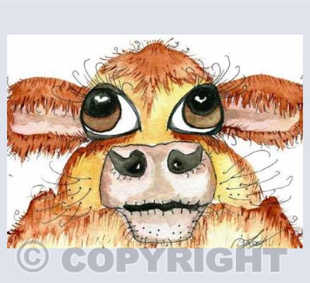 hairy cow