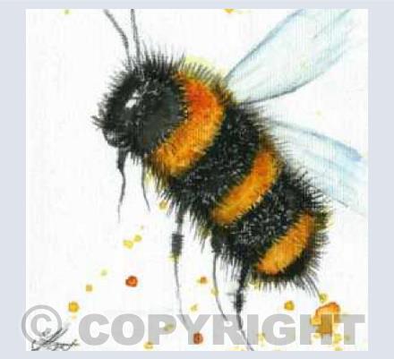 fluffy bee