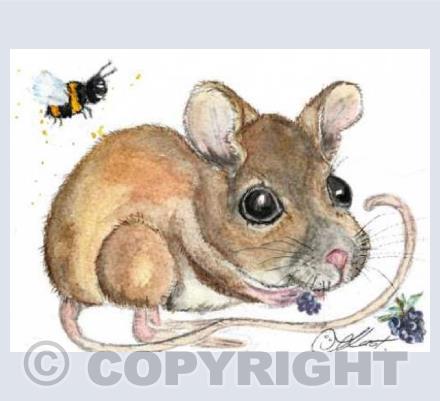 field mouse & bee