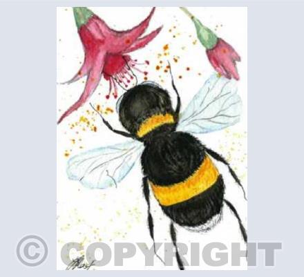 bee & fuchsia