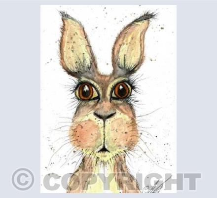 harry the hare