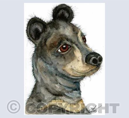 Moon bear