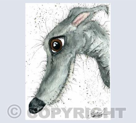 BFD ( Big friendly dog)