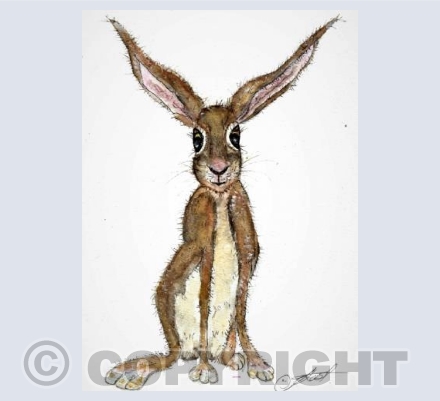 slim hare