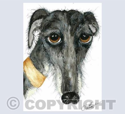 black lurcher