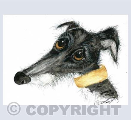 sad eyed lurcher