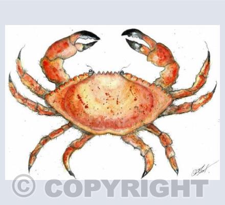 crab