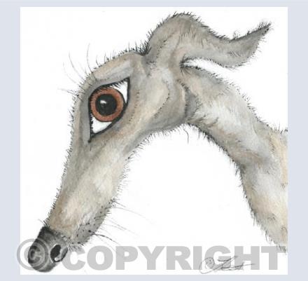 Greyhound