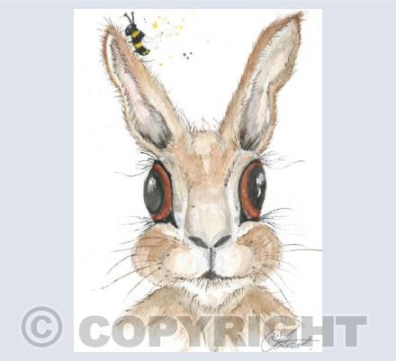 Gazing Hare