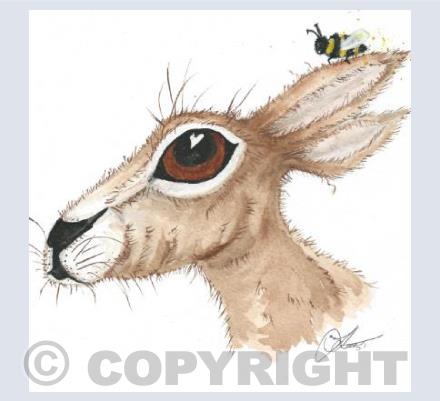 Hare & Bee