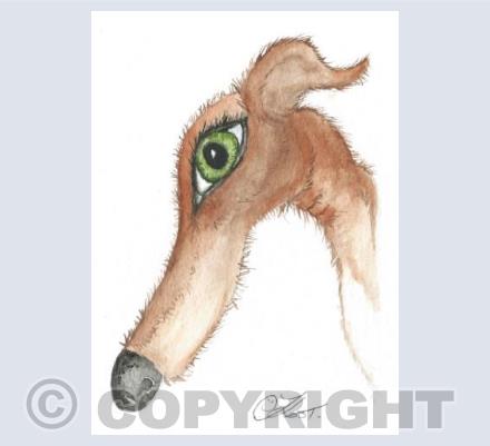 jade greyhound