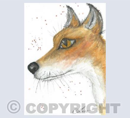 Mr Fox