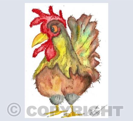 Rooster