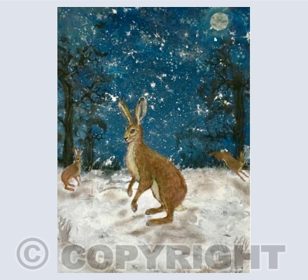 Winter hares