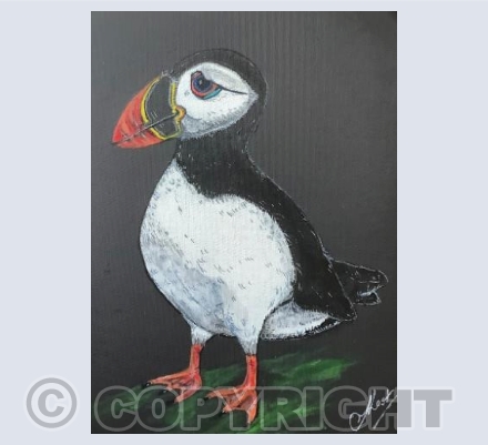 Puffin