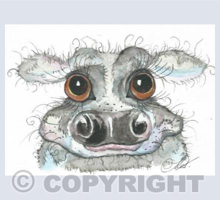 blue cow