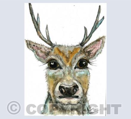 winter stag