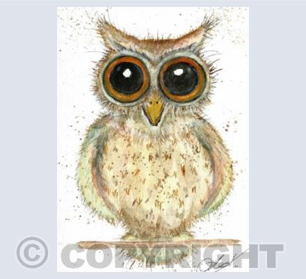 big eyed owl