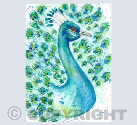 peacock