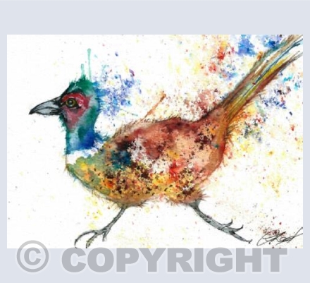 Running Pheasant