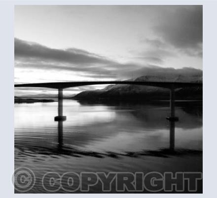 Fjord Light