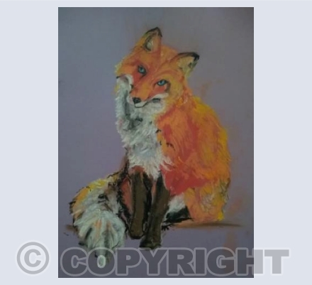 Foxy