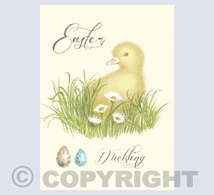 Easter Duckling