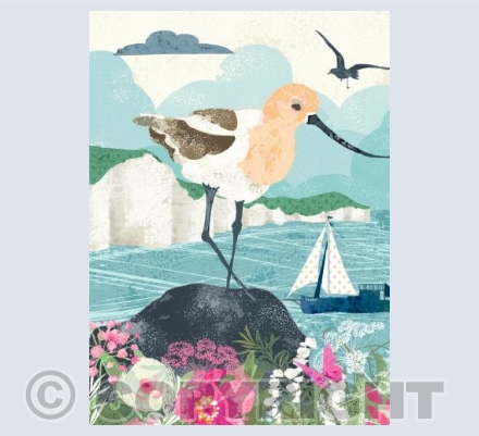 The Sandpiper & The Sail Boat