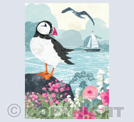 Puffin & The Yacht