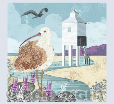The Curlew's Summer 