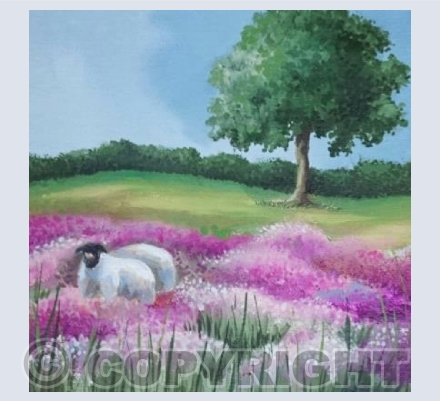 Exmoor Heather