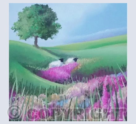 Exmoor Sheep