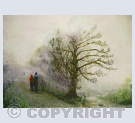 Misty Morning