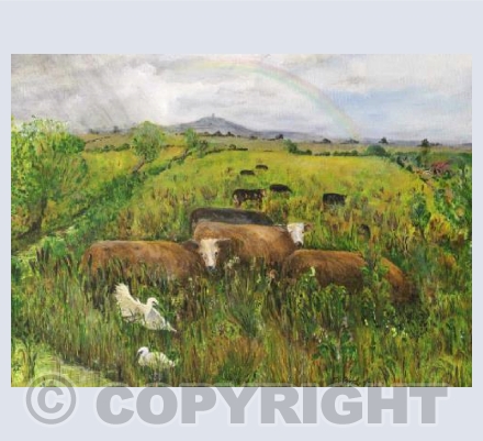 Shower on the Levels