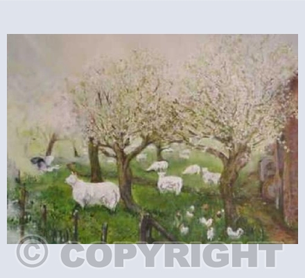 Orchard Blossom
